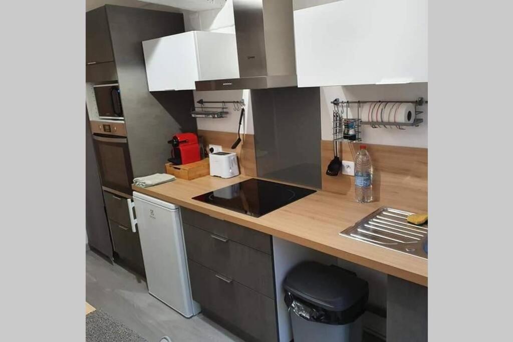 Appartement Avec Jardin Hyper Entre Valenciennes Dış mekan fotoğraf